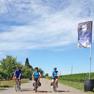 Cylists on Niagara Vineyards Bike tour