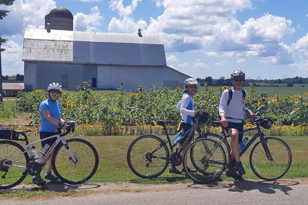 sunflowers and bikes on Cycle Canada's 1000 Islands Tour