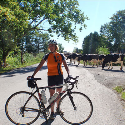 cyclist with cows on Tour Vert